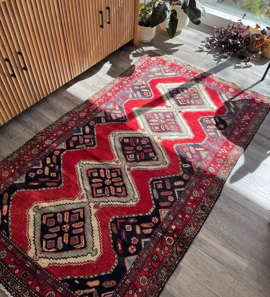 Persian Hamedan Rug | 3' 11" x 7' 1" - Rug the Rock