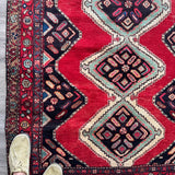 Persian Hamedan Rug | 3' 11" x 7' 1" - Rug the Rock