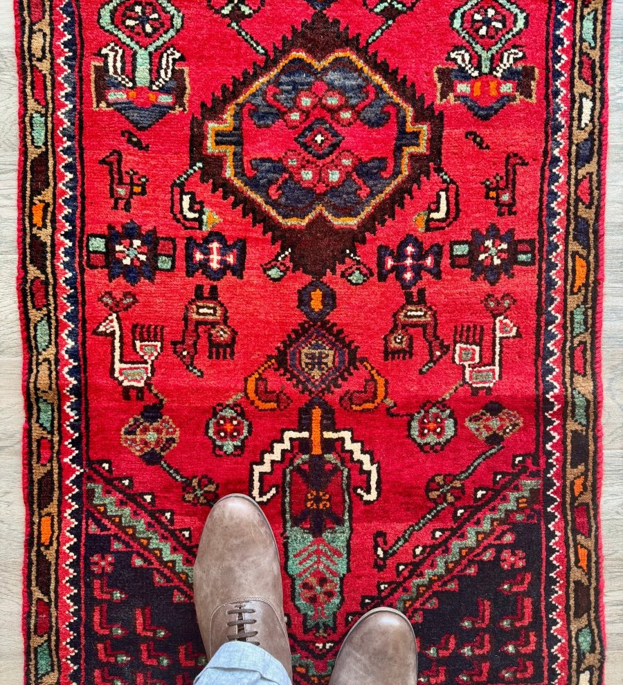 Persian Hamedan Runner Rug | 2' 4" x 9' 2" - Rug the Rock - available rugshamadan rugsPersian Rug