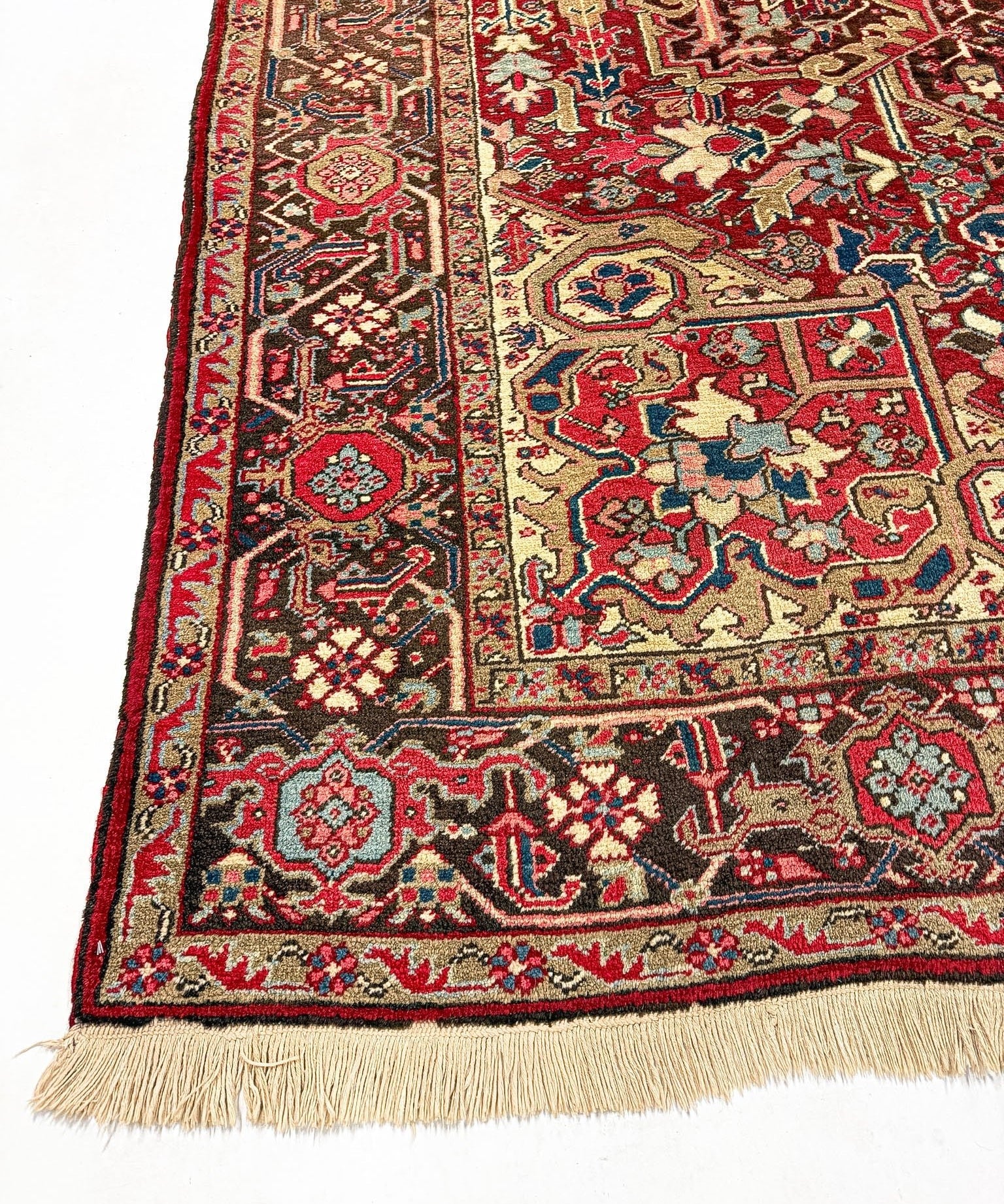Heriz rug side edge view with multicolor border motifs and light cream fringe