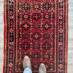 Persian Hossein Abad Runner Rug | 2' 11" x 9' 11" - Rug the Rock - available rugshamadan rugsPersian Rug