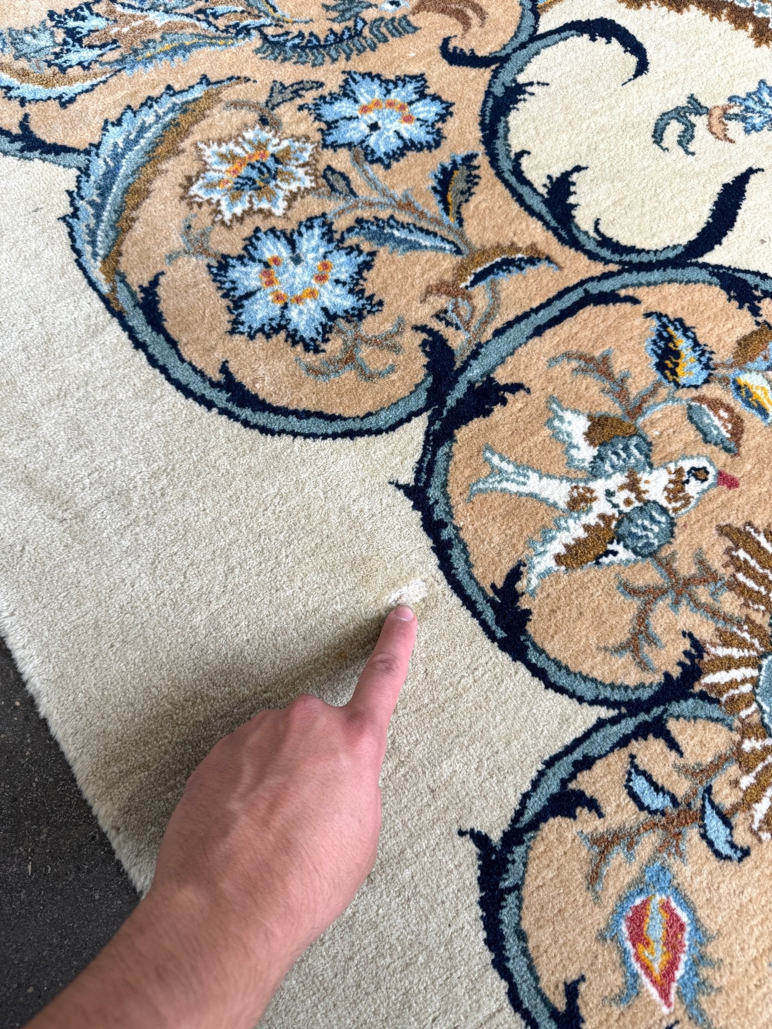 Persian Kashan rug with blue-outlined floral motif on cream ground, finger pointing