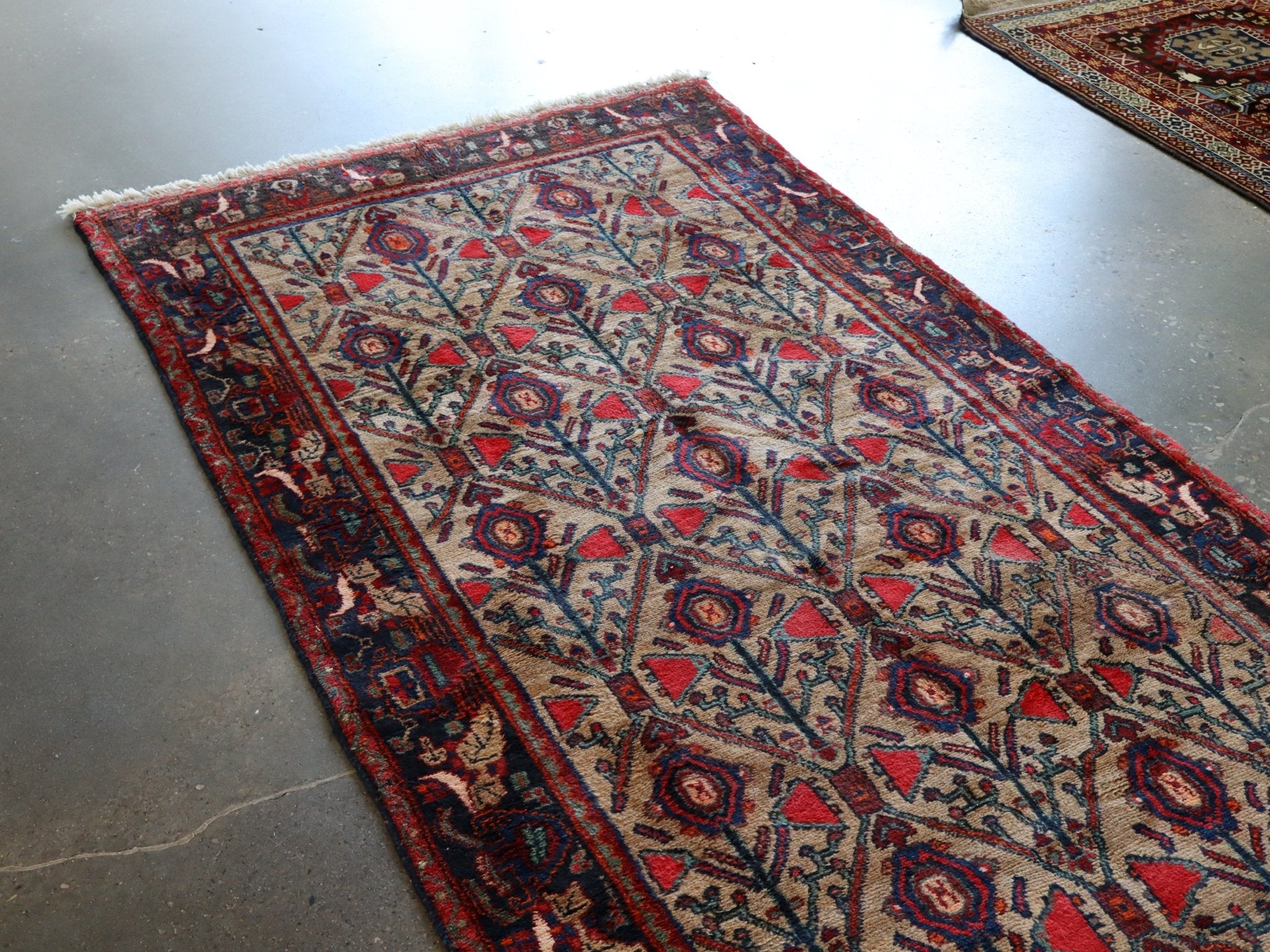 Persian Koliai Rug | 4' 3" x 8' 10" - Rug the Rock -