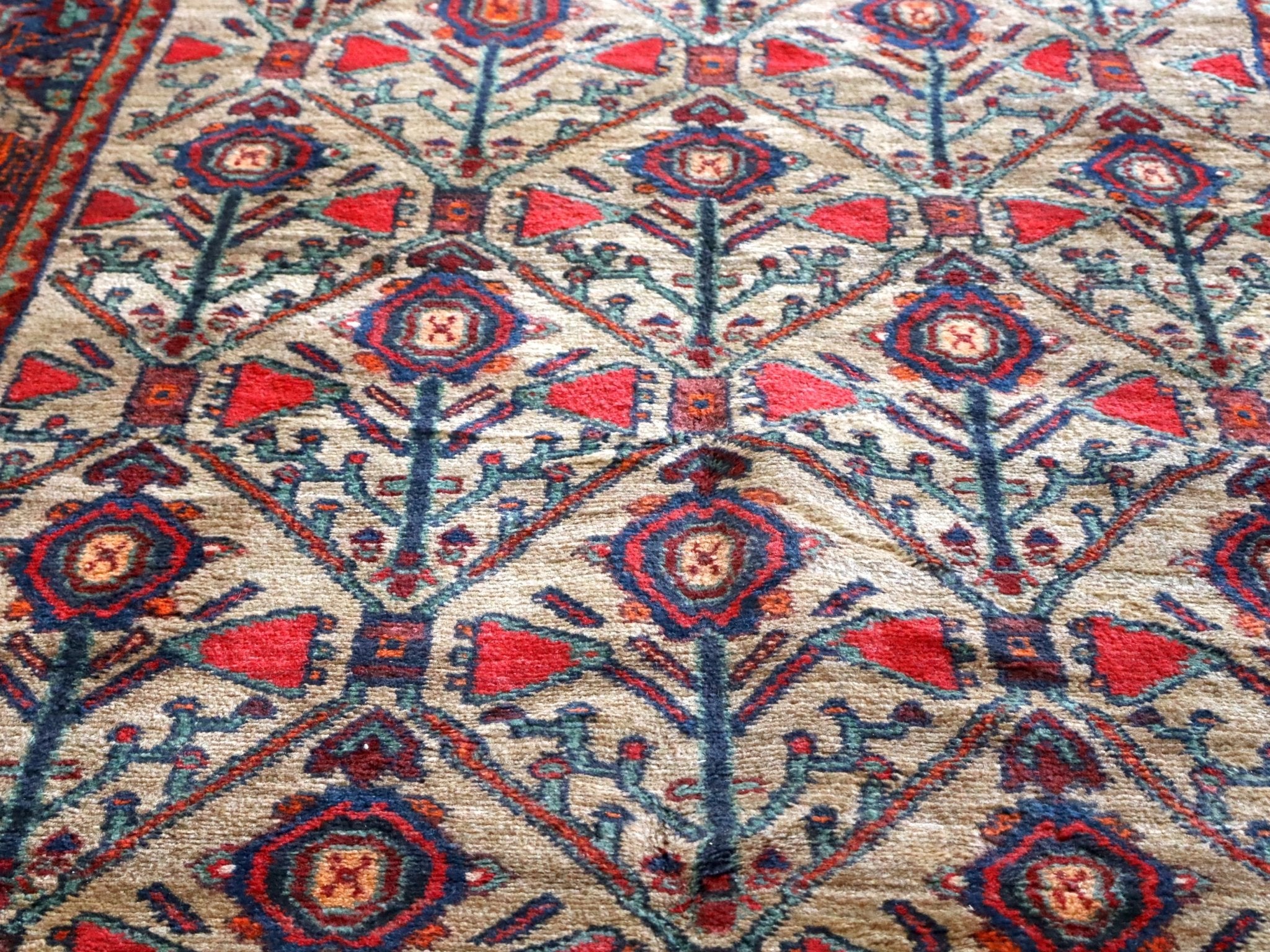 Persian Koliai Rug | 4' 3" x 8' 10" - Rug the Rock -