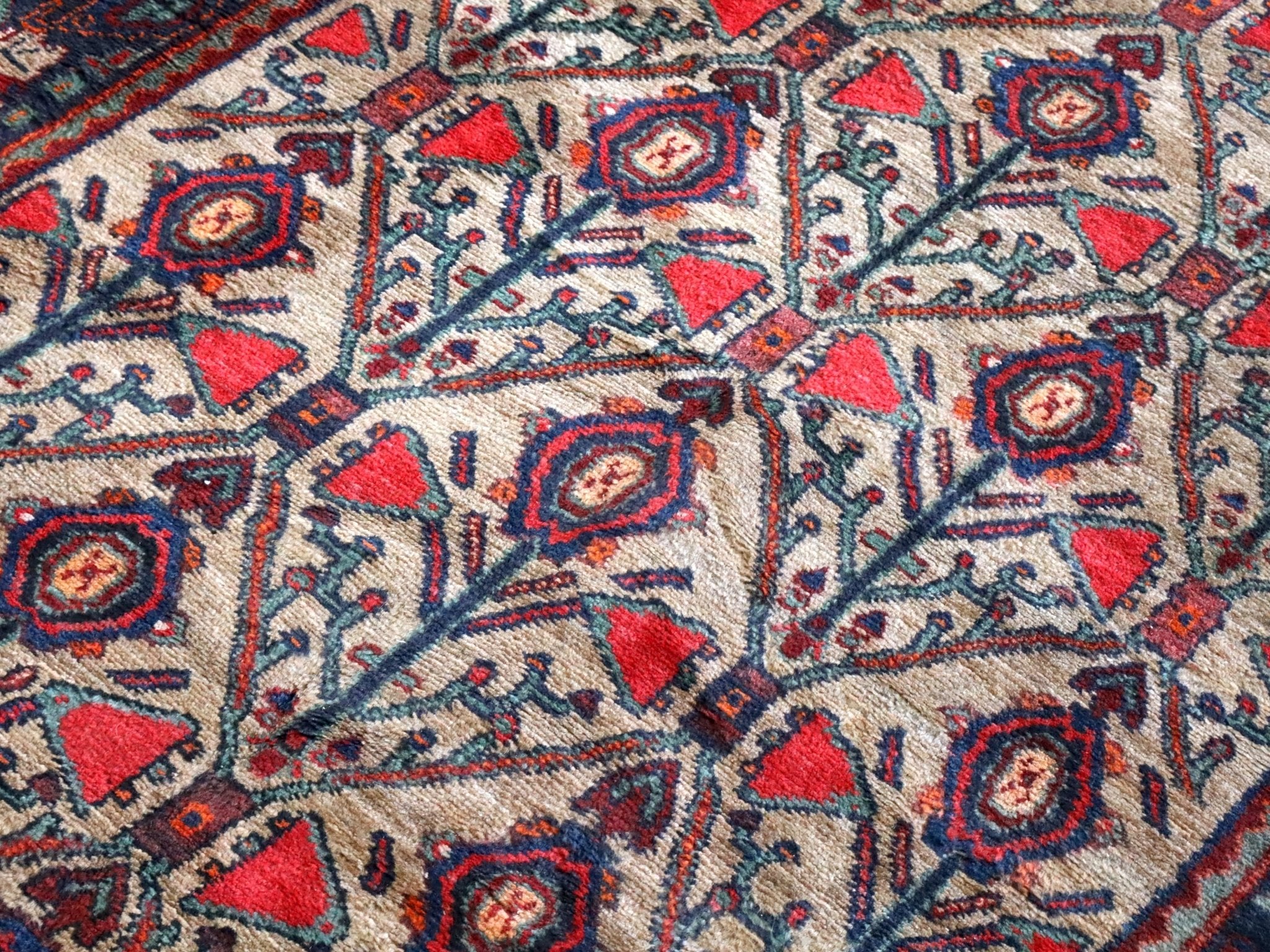 Persian Koliai Rug | 4' 3" x 8' 10" - Rug the Rock -