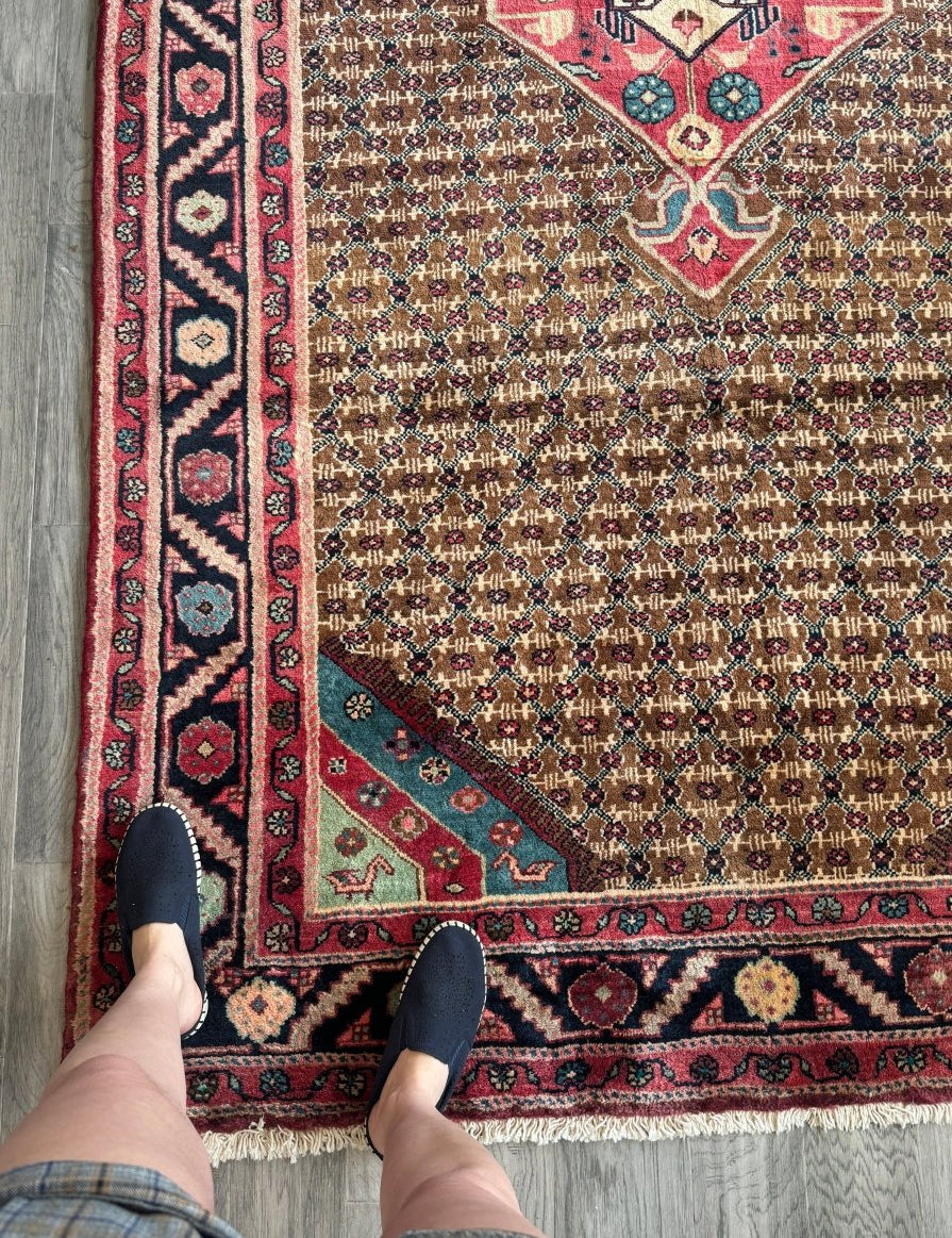 Persian Koliai Rug | 5’ 1" x 9’ 5" - Rug the Rock