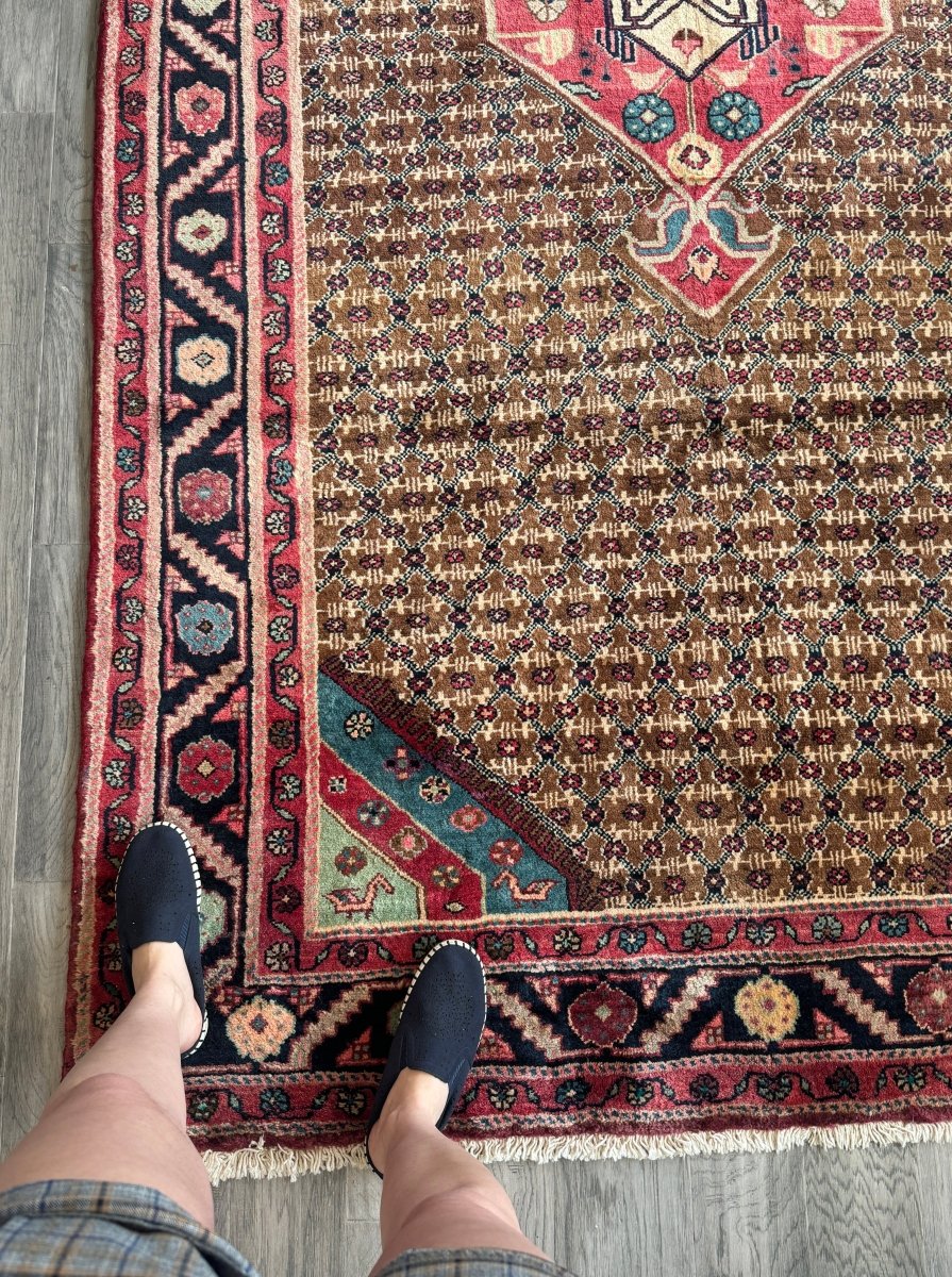 Persian Koliai Rug | 5’ 1" x 9’ 5" - Rug the Rock