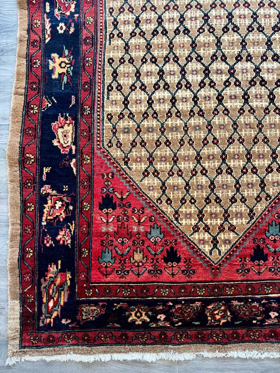 Persian Koliai Rug | 5’ x 7' 8" - Rug the Rock