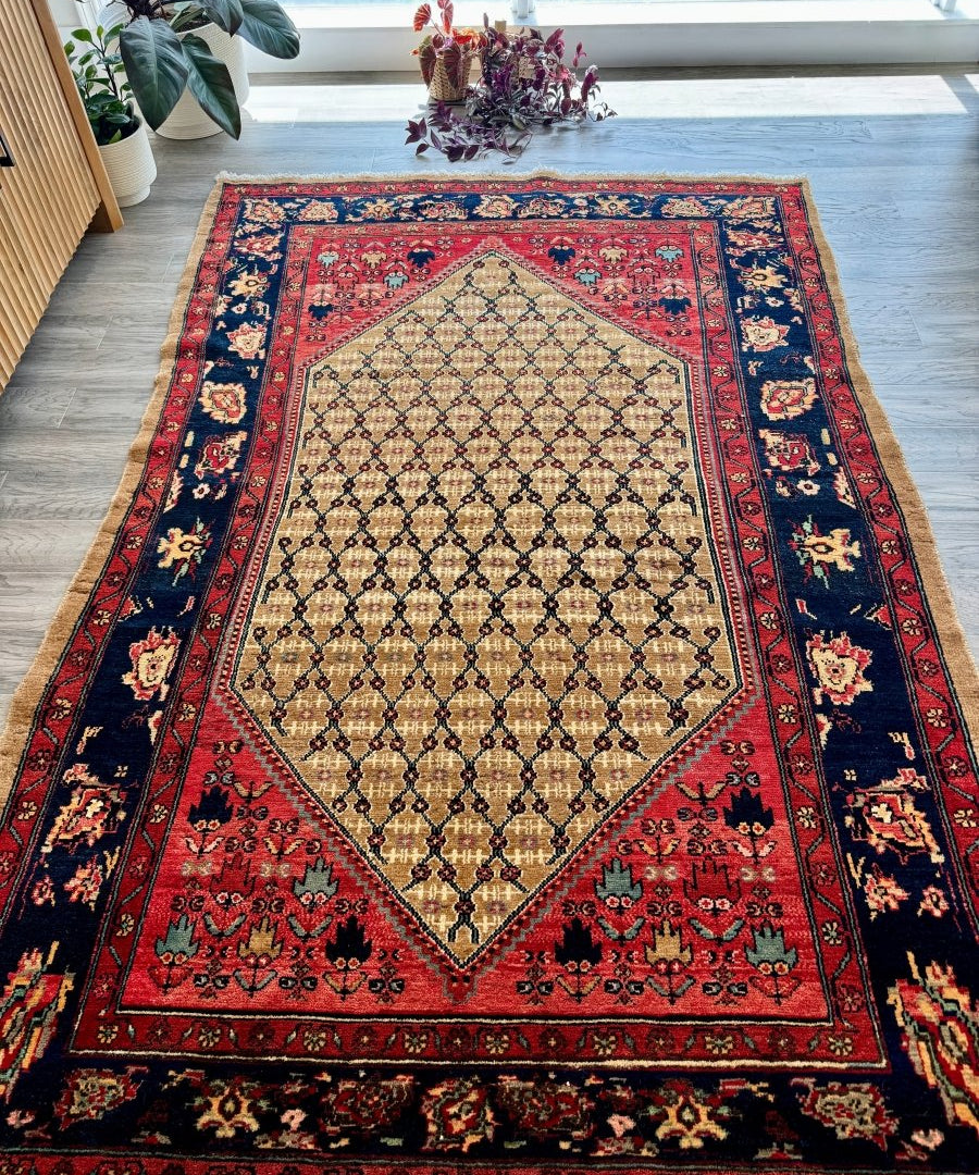 Persian Koliai rug with red frame, navy corner motifs, and cream diamond lattice