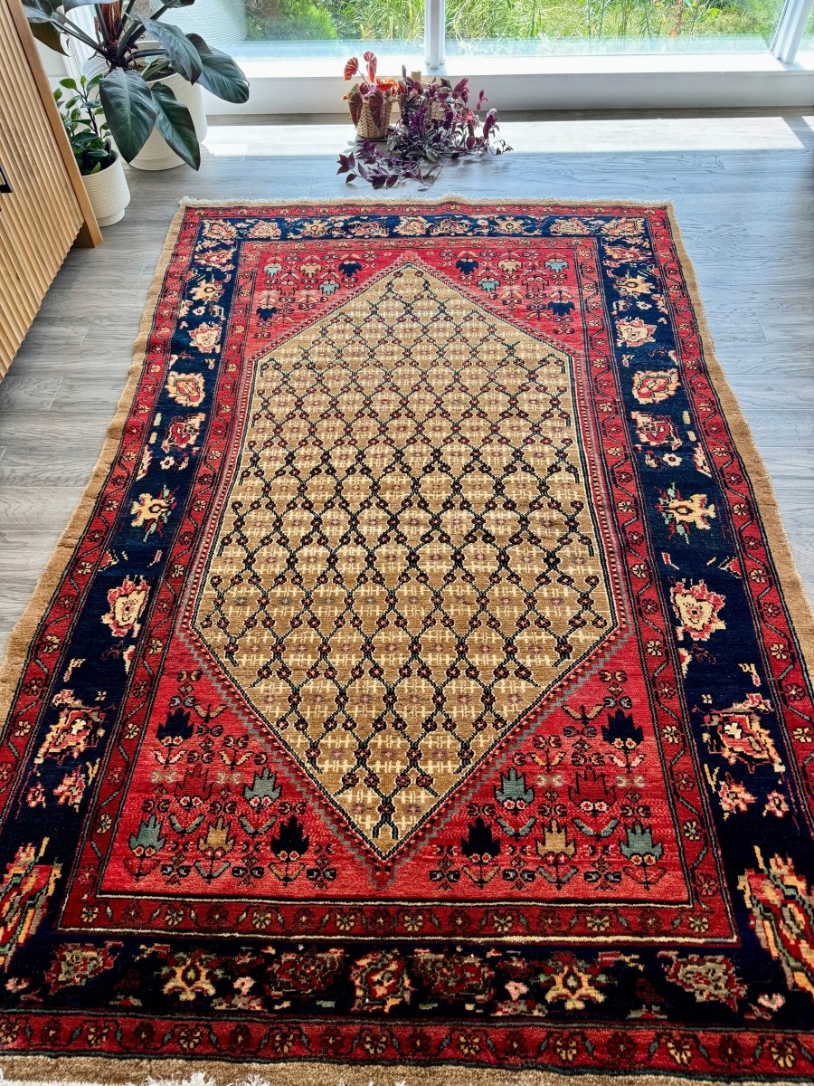 Persian Koliai Rug | 5’ x 7' 8" - Rug the Rock