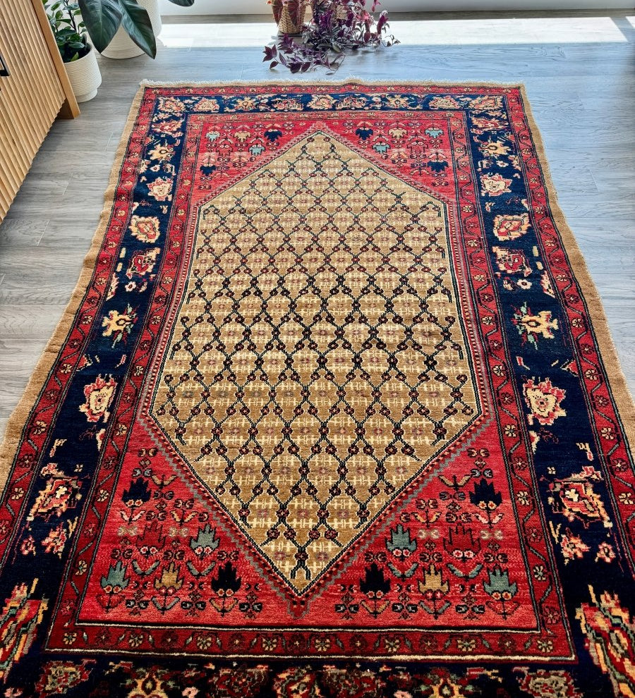 Persian Koliai Rug | 5’ x 7' 8" - Rug the Rock