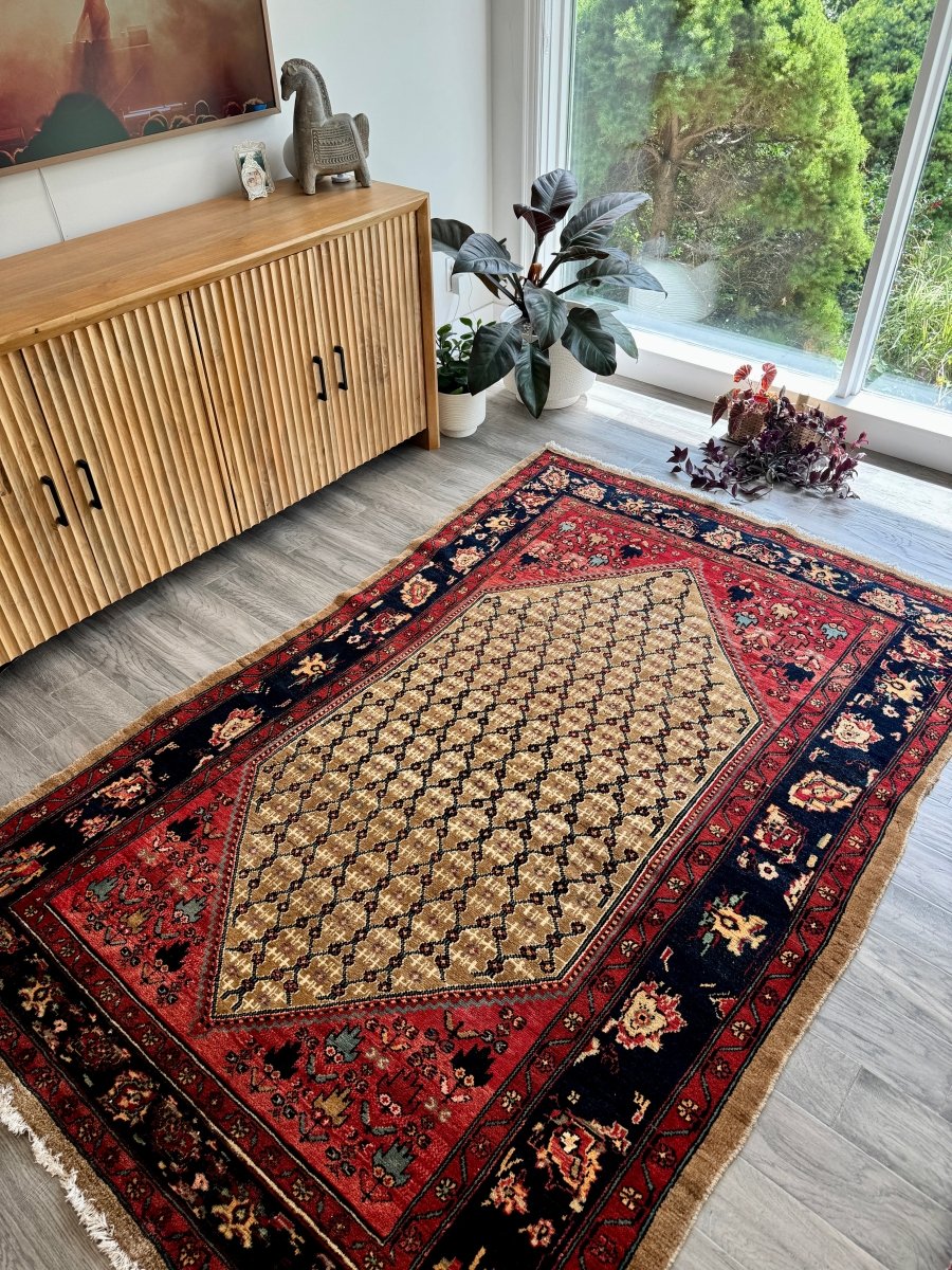 Persian Koliai Rug | 5’ x 7' 8" - Rug the Rock