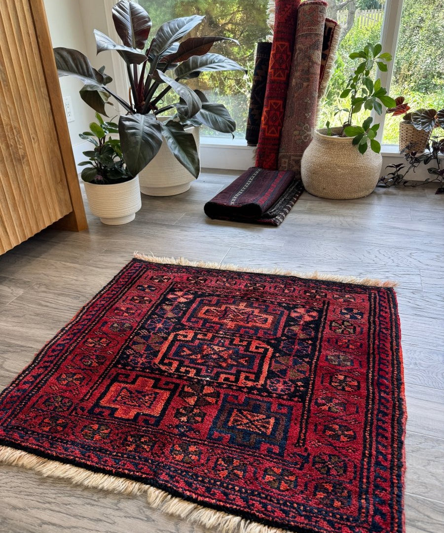 Red and navy Lori rug with geometric center medallion and short fringe ends