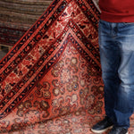 Persian Mahal Rug | 6' 9” x 9' 10" - Rug the Rock - 