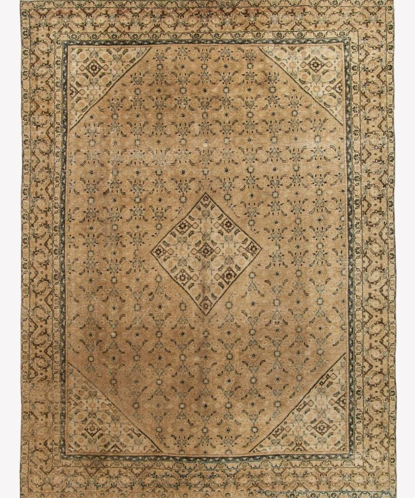Light beige Persian-style rug with geometric medallion and blue border details.