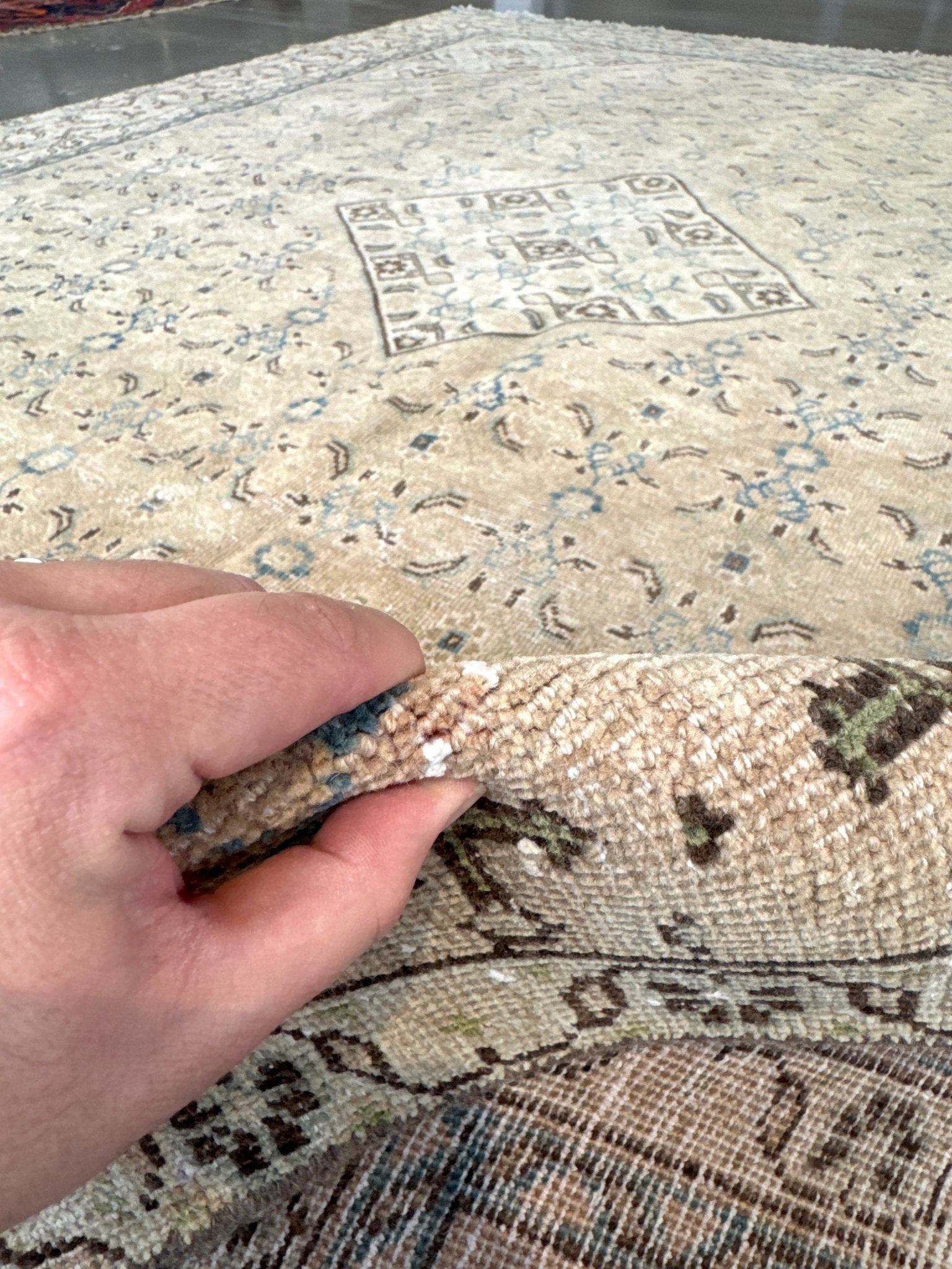 Persian Mahal Rug | 9' 1" x 12' - Rug the Rock - 