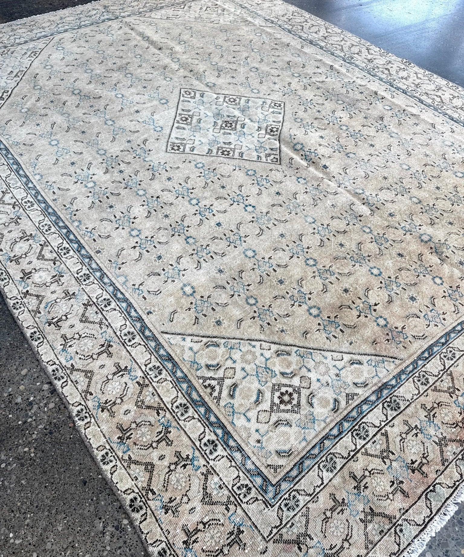 Light beige rug with central blue motif and dark outline border; corner detail shown.