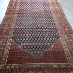 Persian Malayer Rug | 5' 11" x 13' 1" - Rug the Rock -