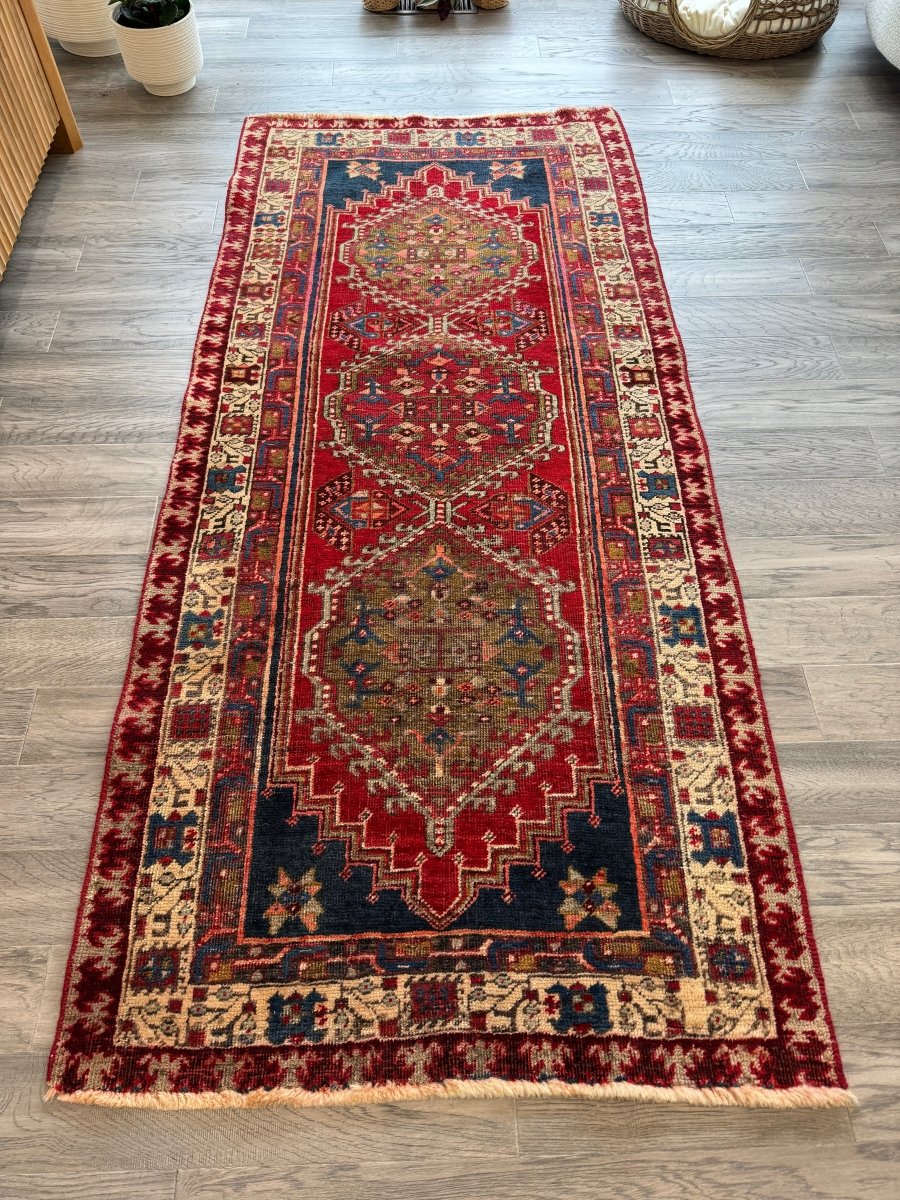 Persian Meshkin Runner Rug | 3' 3" x 7' - Rug the Rock