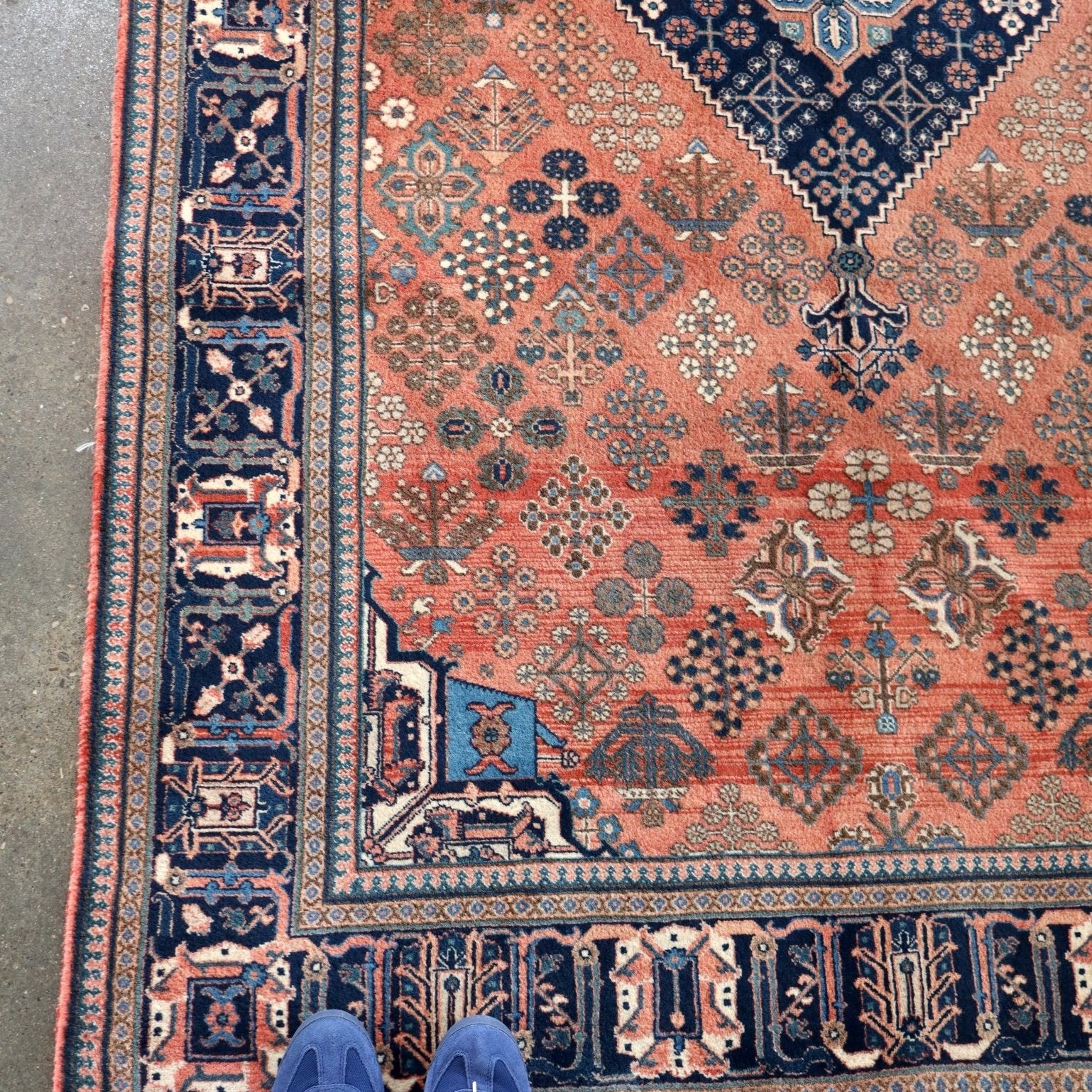 Persian Qashqai Rug | 4' x 5' 1" Rug the Rock