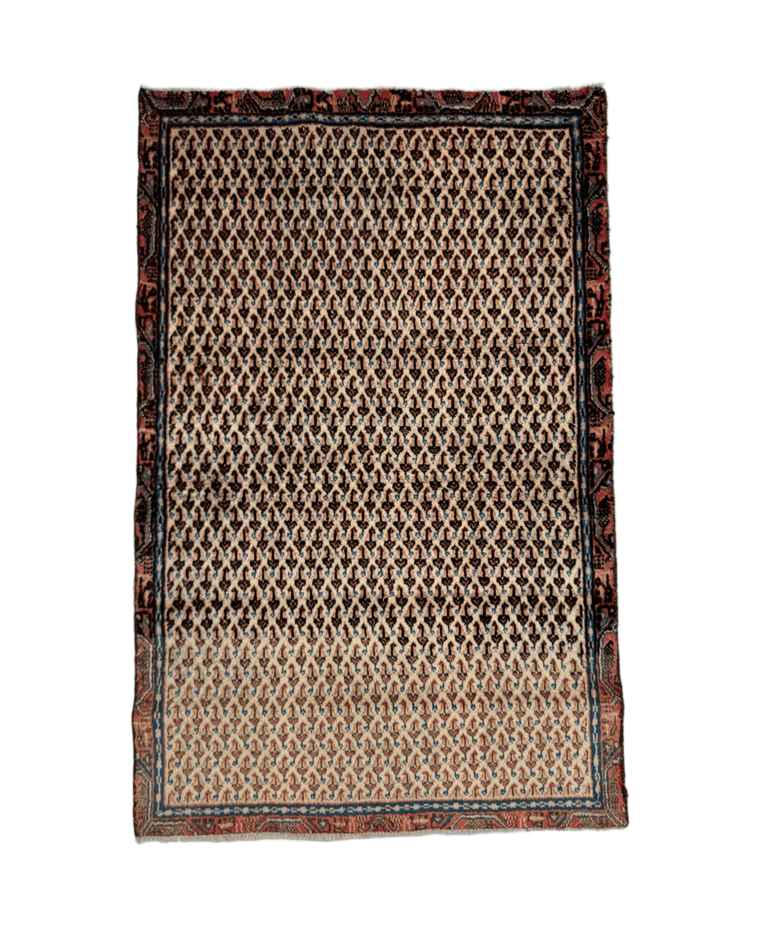 Persian Mir-Boteh rug with cream field, dark motifs, and red-blue border.