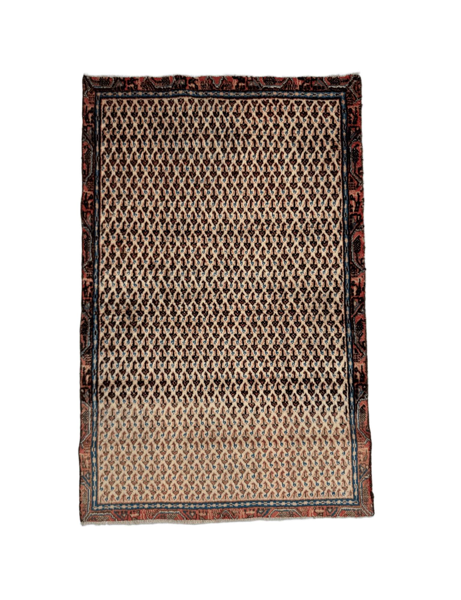 Persian Mir - Boteh Rug | 2' 9” x 4' 3" - Rug the Rock - 