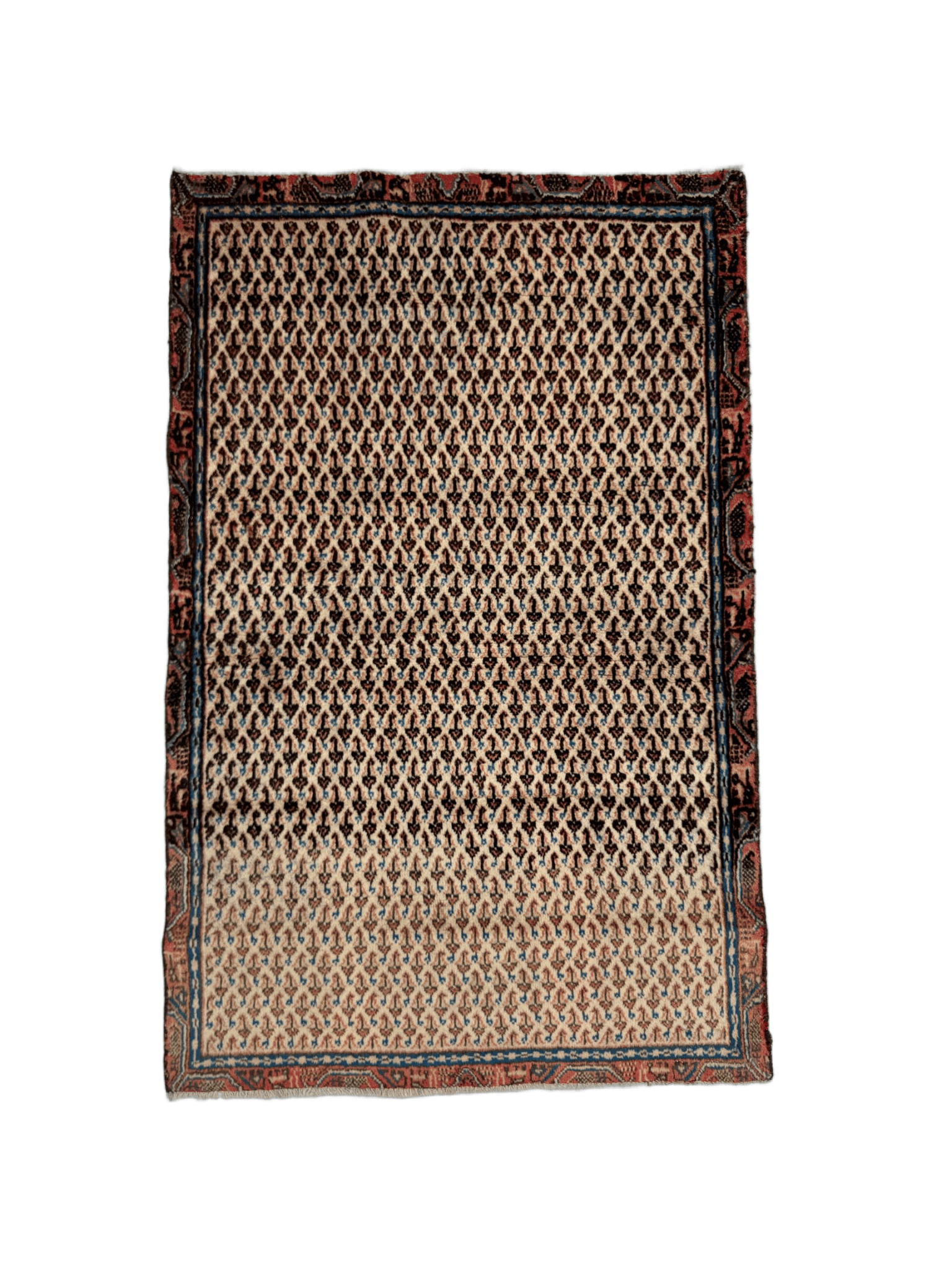 Persian Mir - Boteh Rug | 2' 9” x 4' 3" - Rug the Rock - 