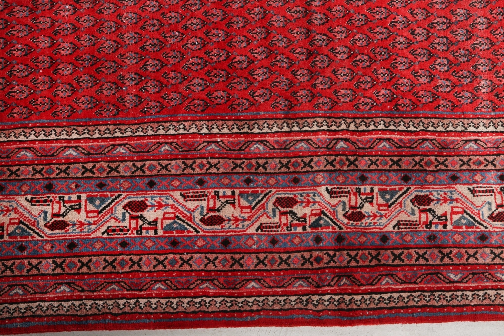 Close-up of Persian-style rug border with repeating motifs and red field; fringe edge visible
