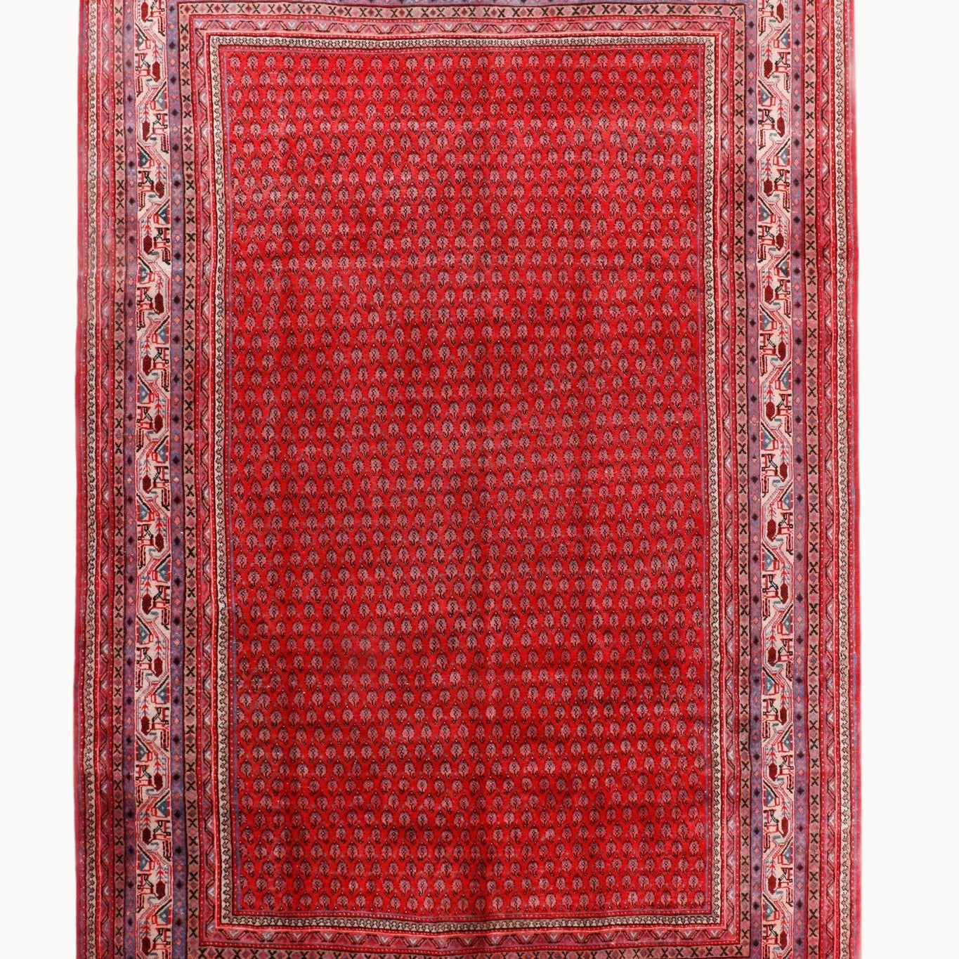 Persian Mir Boteh Rug | 7' 6" x 11' 4" - Rug the Rock - 