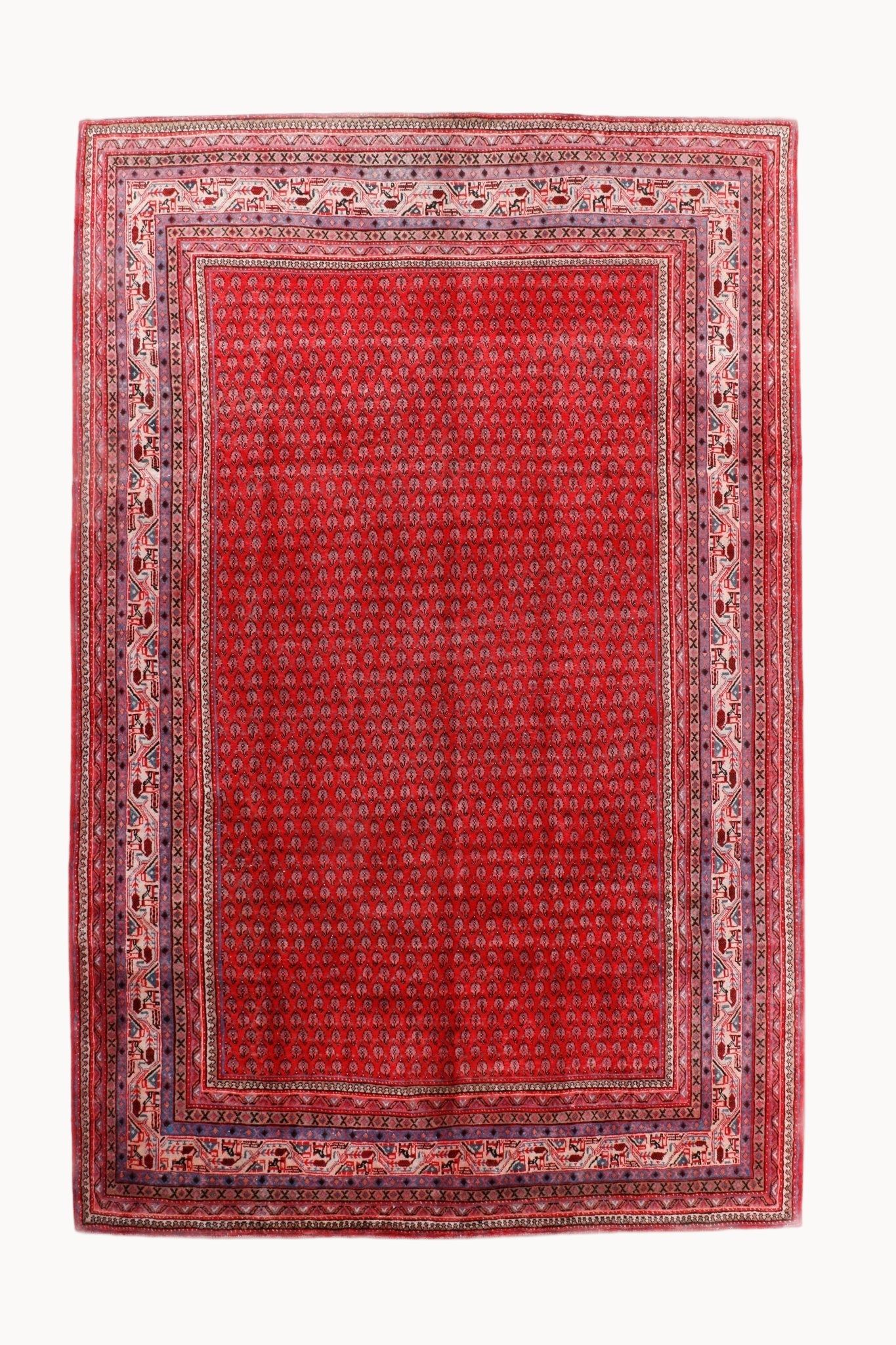Persian Mir Boteh Rug | 7' 6" x 11' 4" - Rug the Rock - 