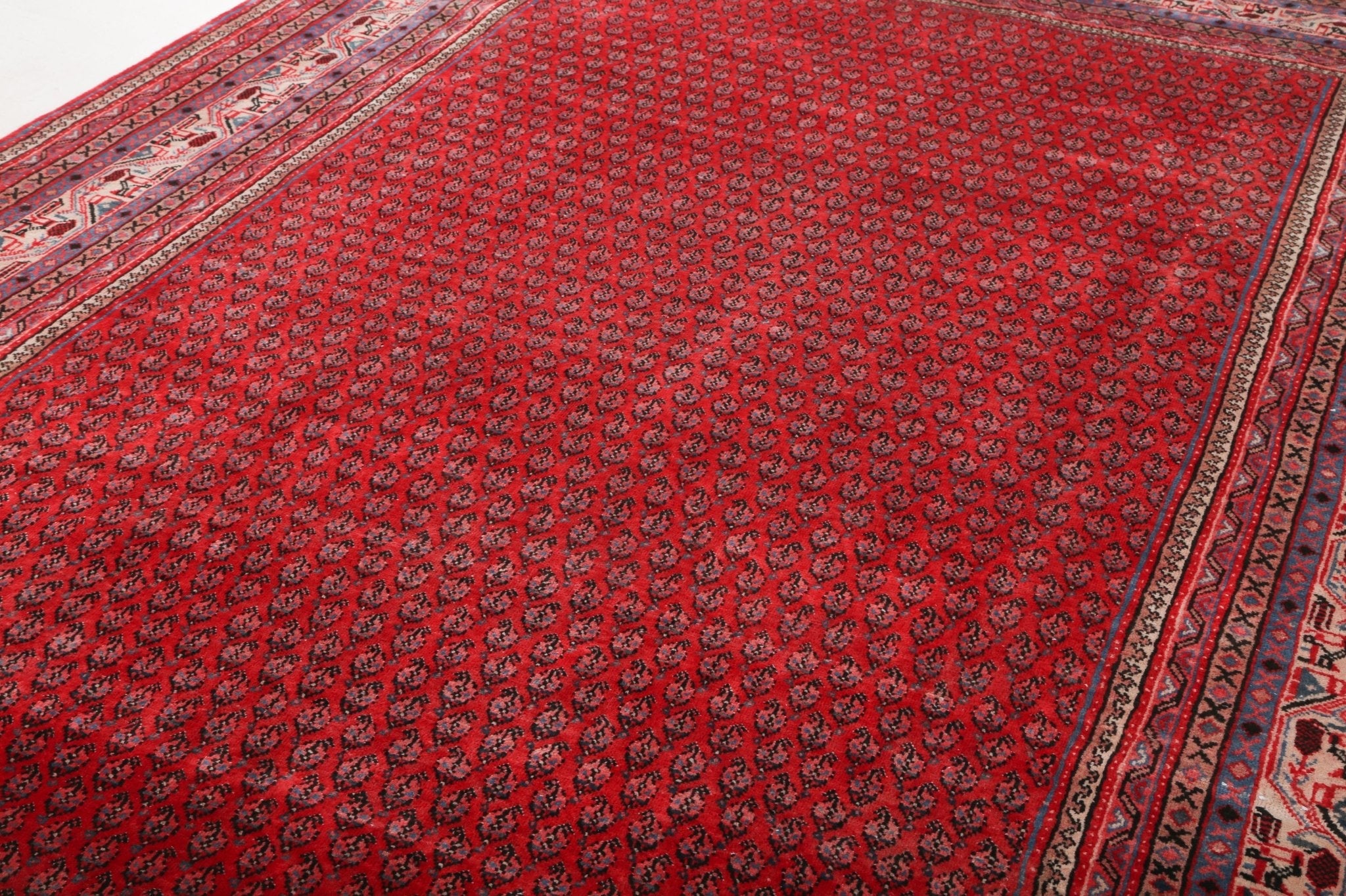 Persian Mir Boteh rug with red field and navy border, geometric motifs