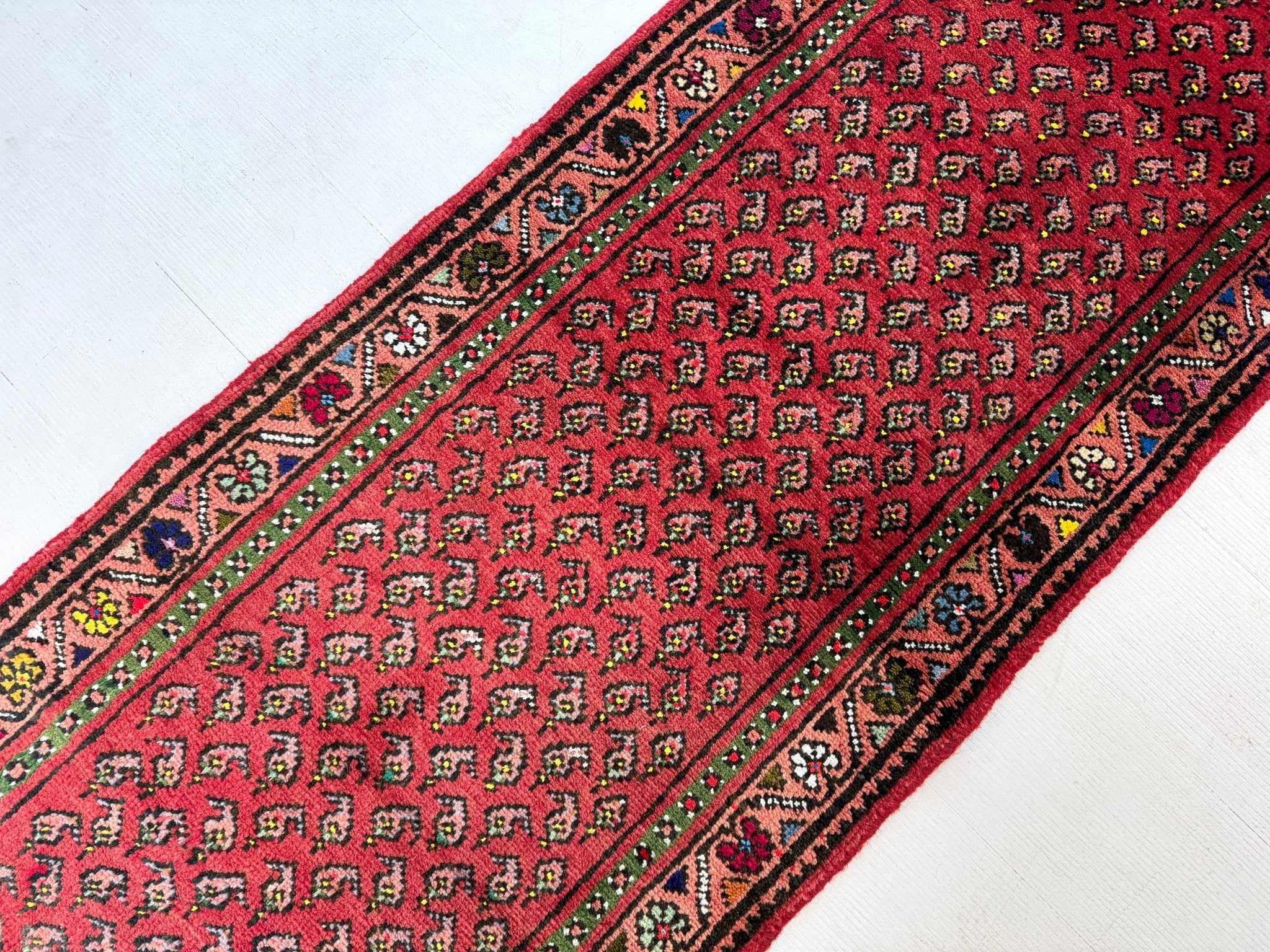 Persian Mir - Boteh Runner Rug | 2' 1” x 9' 5" - Rug the Rock - 