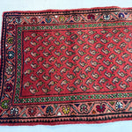 Persian Mir - Boteh Runner Rug | 2' 1” x 9' 5" - Rug the Rock - 