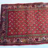Persian Mir - Boteh Runner Rug | 2' 1” x 9' 5" - Rug the Rock - 