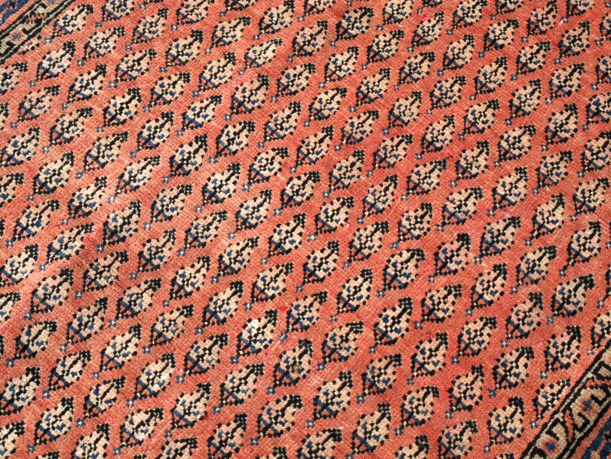 Dense rug pattern close-up on terracotta ground with navy and cream repeating shapes