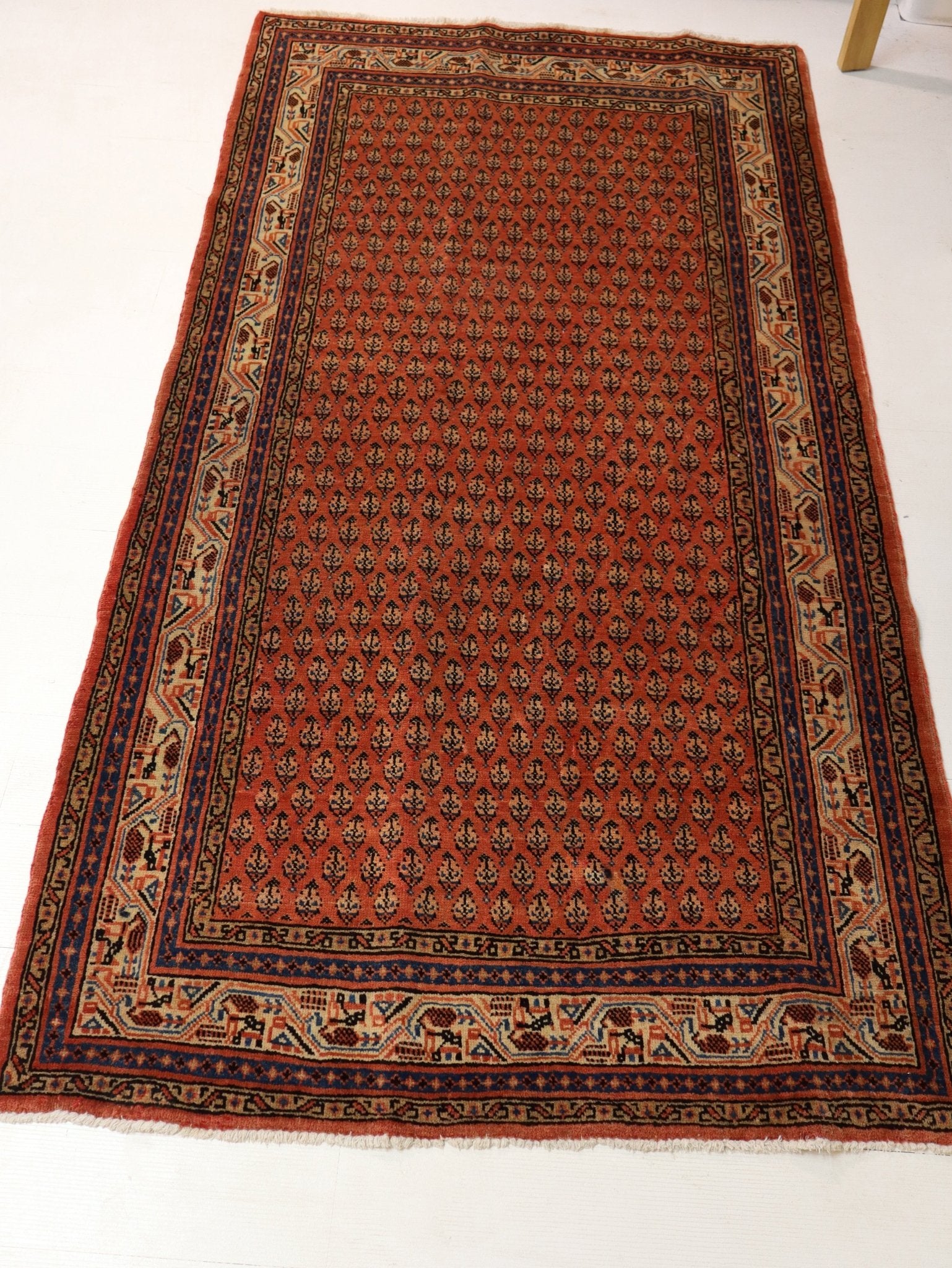 Persian Mir Rug | 3' 8” x 6' 11" - Rug the Rock - 