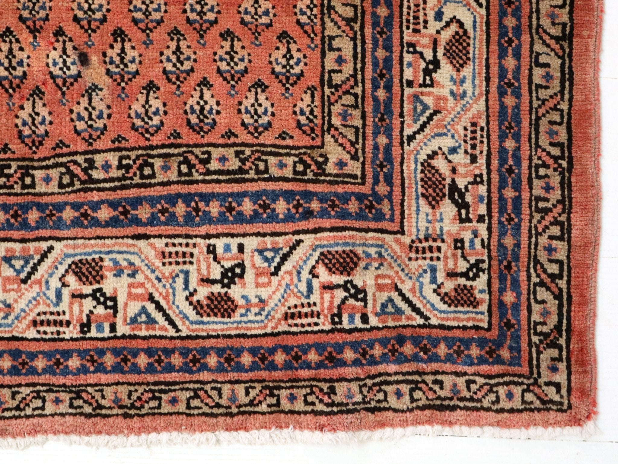 Persian Mir Rug | 3' 8” x 6' 11" - Rug the Rock - 