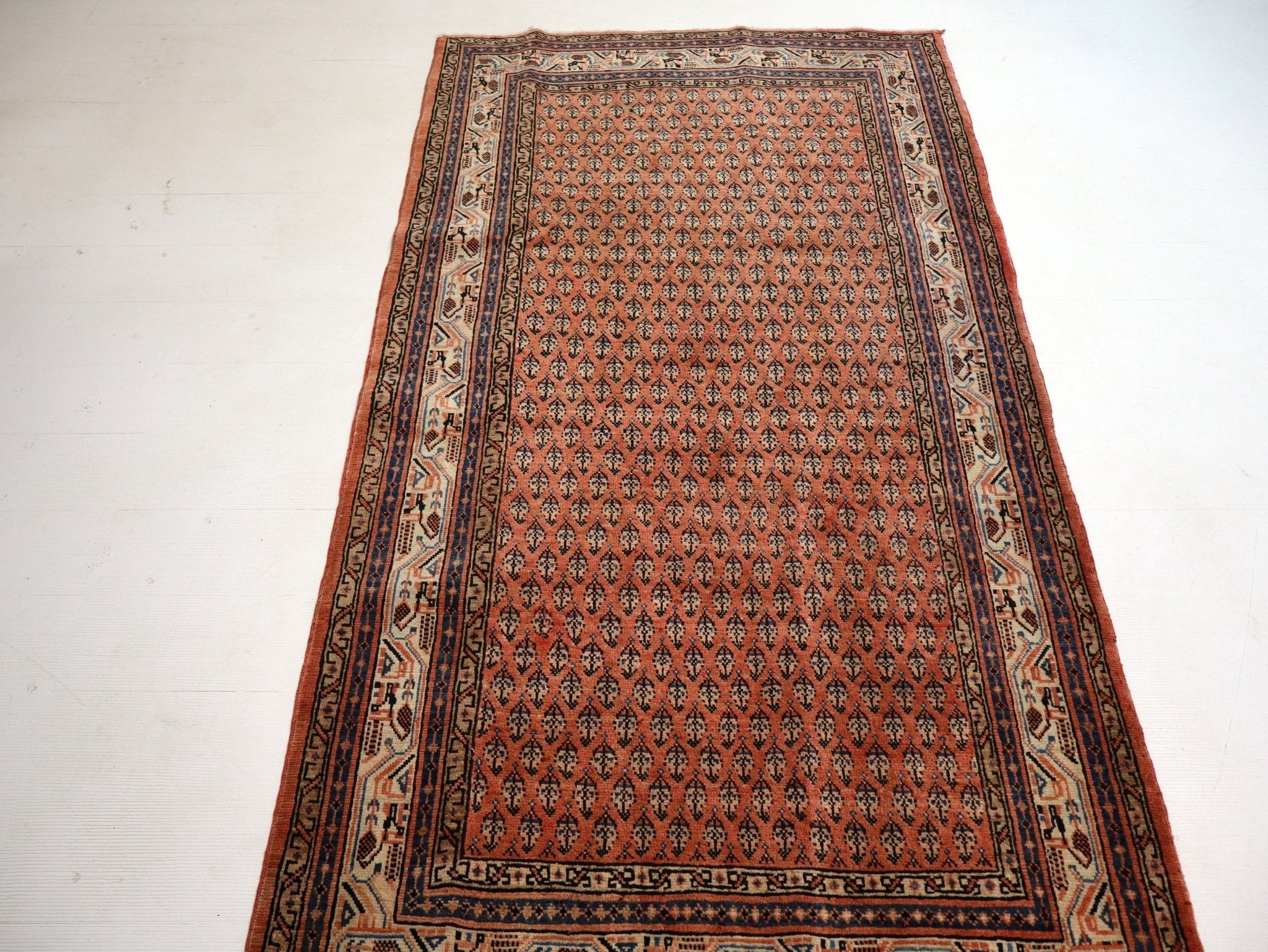 Mir rug with terracotta field, ornate navy-and-cream border and patterned corner detail