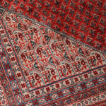 Persian Mir Rug | 8’ x 10’ 3” - Rug the Rock - 