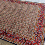 Persian Mood Birjand Rug | 6’ 5" x 9’ 6" - Rug the Rock