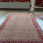 Persian Mood Birjand Rug | 6’ 5" x 9’ 6" - Rug the Rock