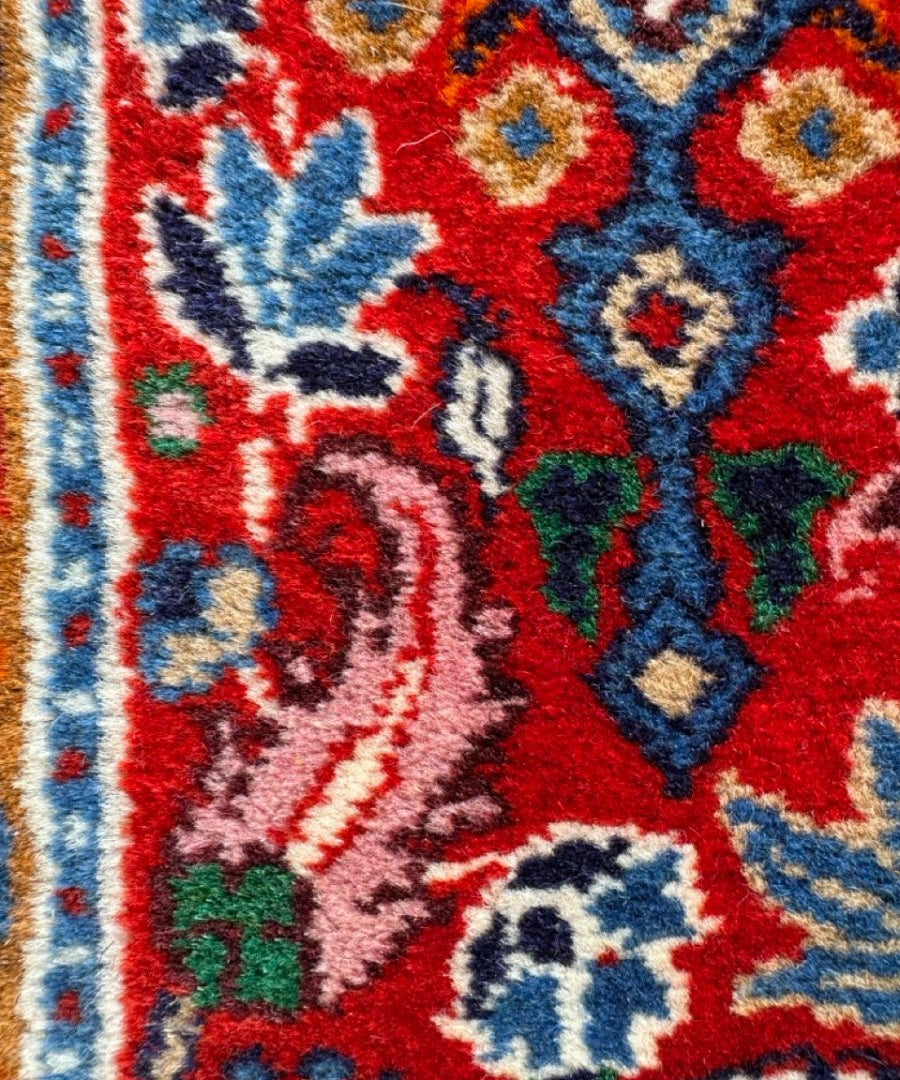 Persian-style rug border close-up in red, blue, and cream with floral and geometric shapes