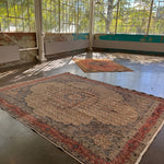 Persian Mood Rug | 8' 10" x 11' 7" - Rug the Rock - 8 x 129 x 12Large Rugs > 4' x 8'