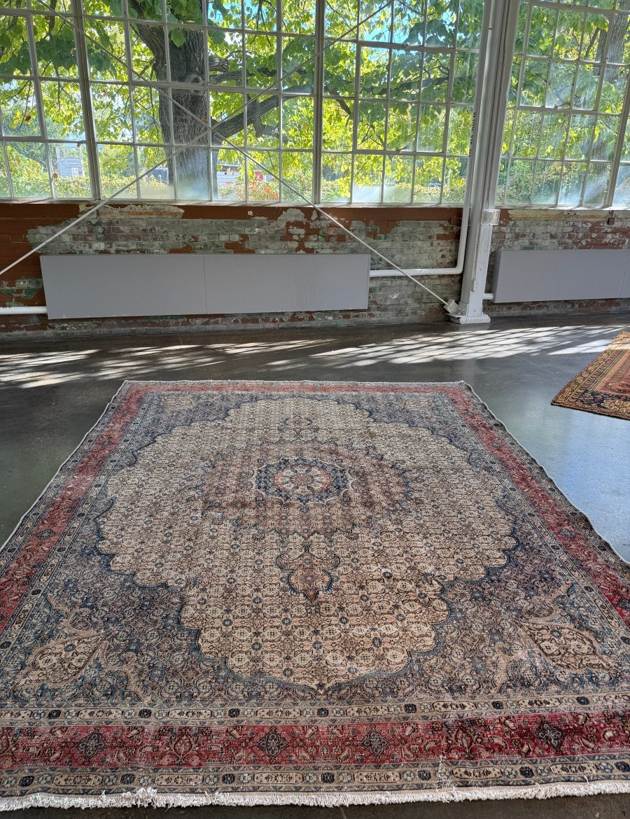 Persian Mood Rug | 8' 10" x 11' 7" - Rug the Rock - 8 x 129 x 12Large Rugs > 4' x 8'