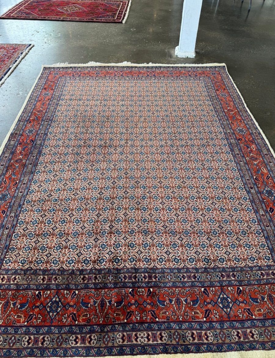 Persian Mood Rug | 9' 8" x 7' 3" - Rug the Rock