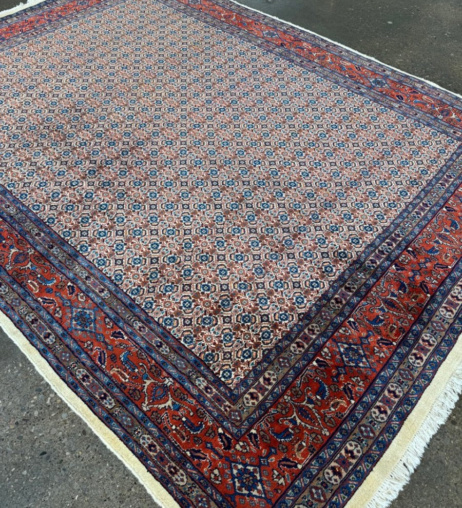 Persian Mood Rug | 9' 8" x 7' 3" - Rug the Rock