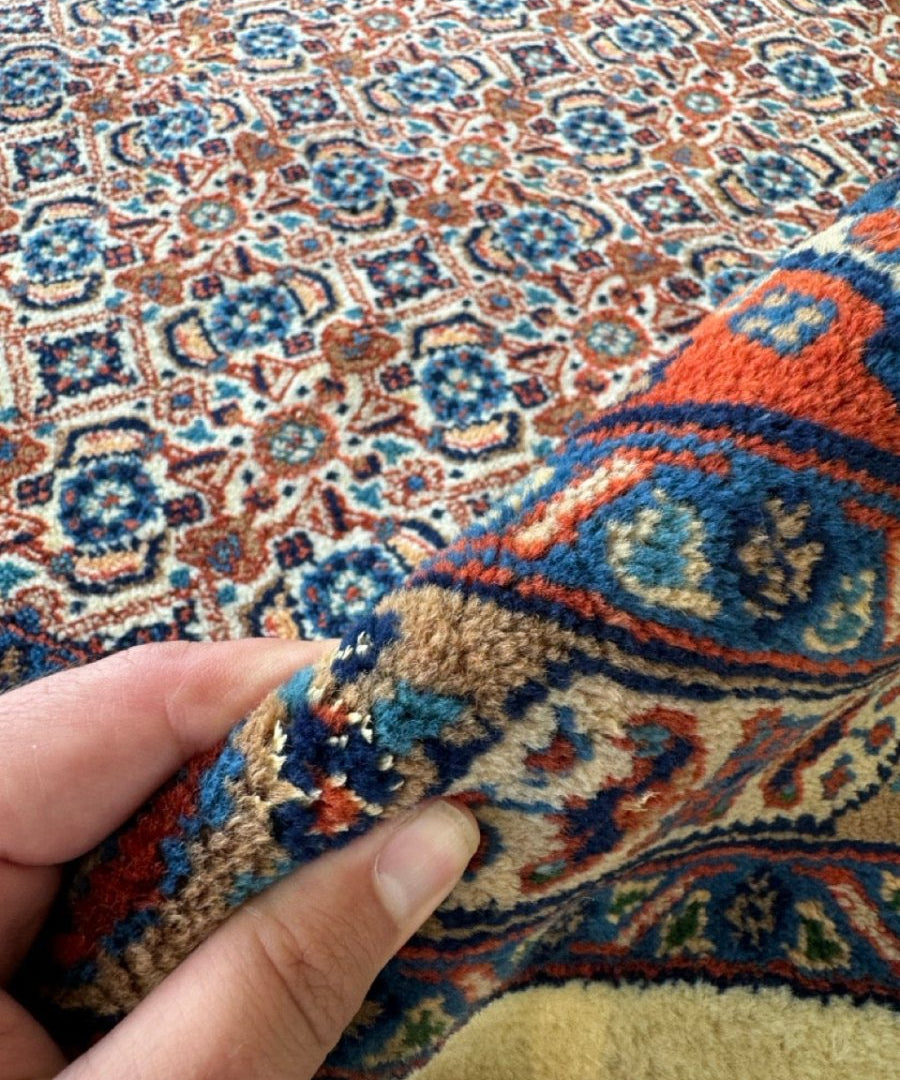 Persian-style rug edge with dense motifs; hand shows plush pile and fringe