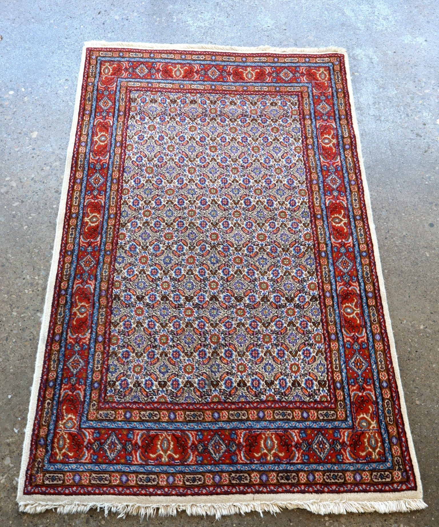 Persian-style area rug with red, blue, and white medallion pattern, fringed border