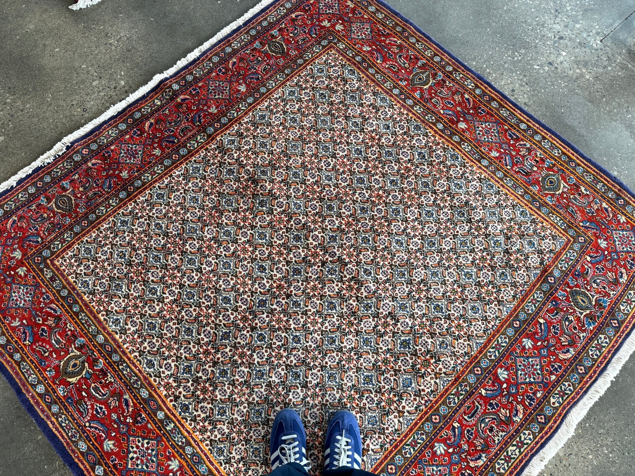 Persian-style area rug with cream medallion, red border, ornate blue details