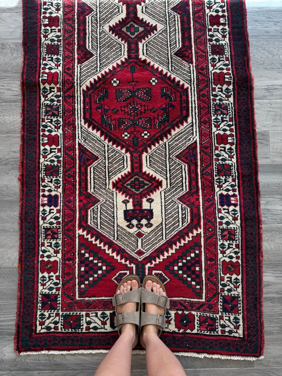 Persian Sarab Runner Rug | 2' 11" x 10' 6" - Rug the Rock - available rugsPersian RugRunner Rug